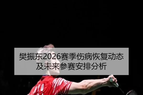 樊振东2026赛季伤病恢复动态及未来参赛安排分析